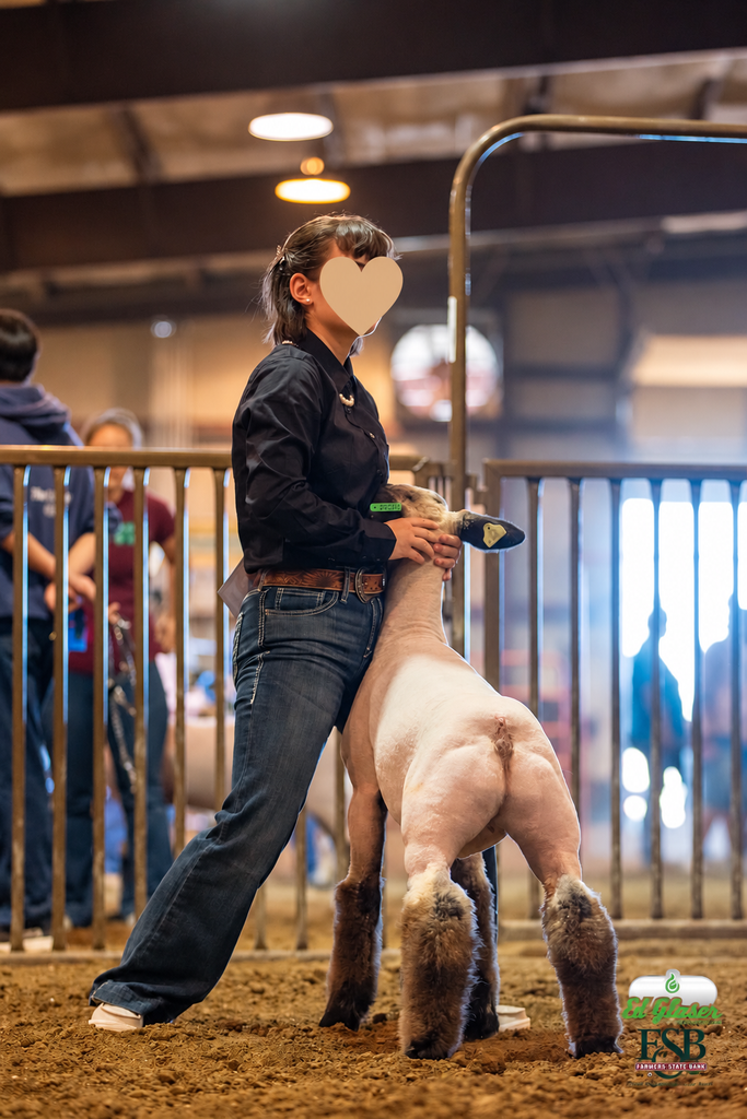 Fair 2026 - Sherpa Graze Farm